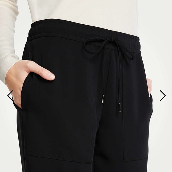 Ann Taylor Luxewear Joggers - Picture 3 of 4